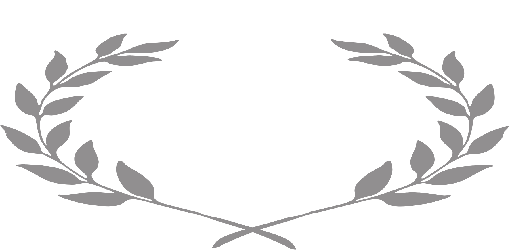 Carpet Care